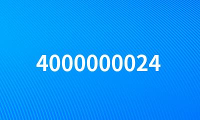 4000000024