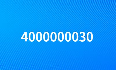 4000000030