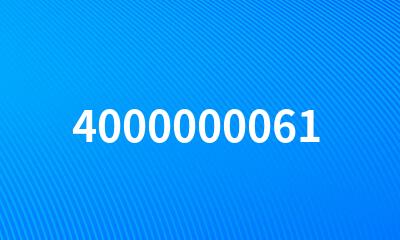 4000000061