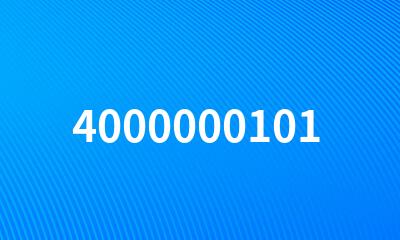 4000000101