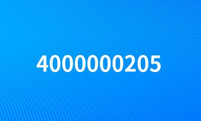 4000000205