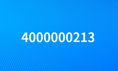 4000000213