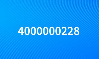 4000000228