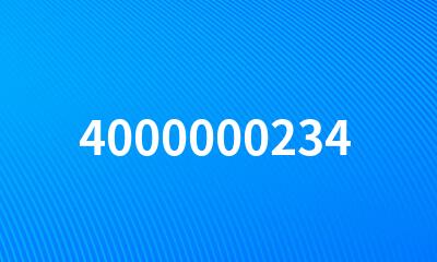 4000000234