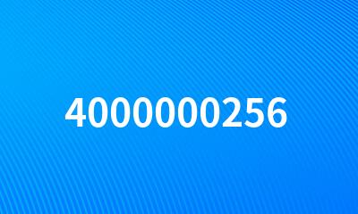 4000000256