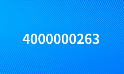 4000000263