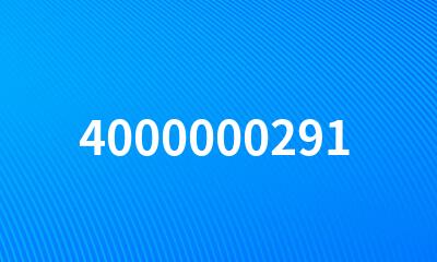 4000000291