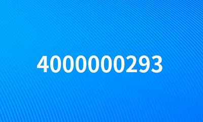 4000000293