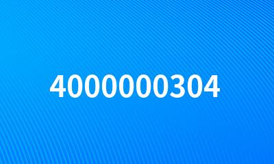 4000000304