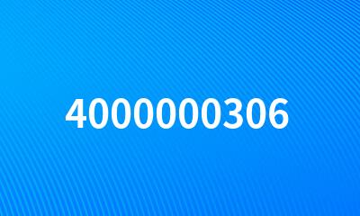 4000000306