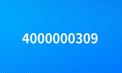 4000000309