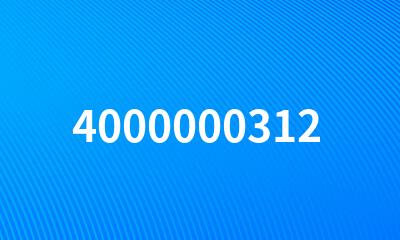 4000000312