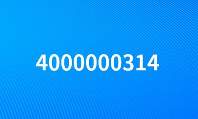 4000000314