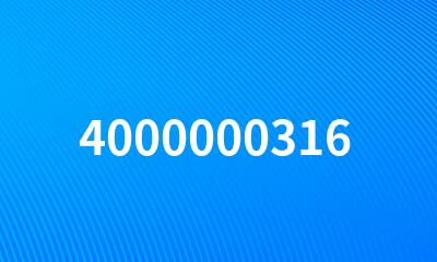 4000000316