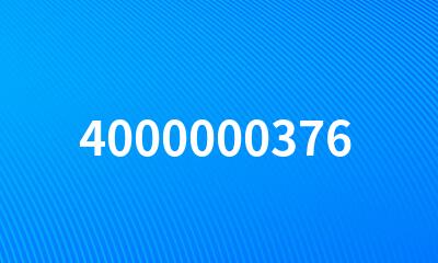 4000000376