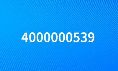 4000000539