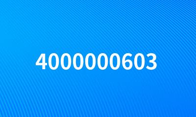 4000000603