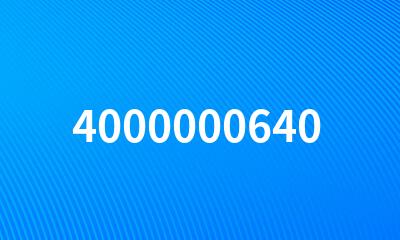 4000000640