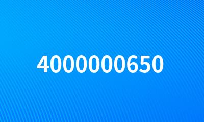 4000000650