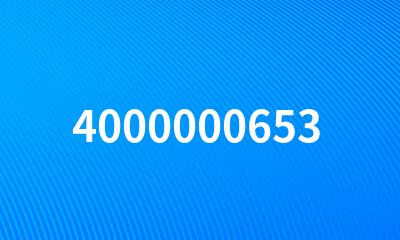 4000000653