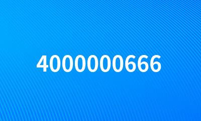 4000000666