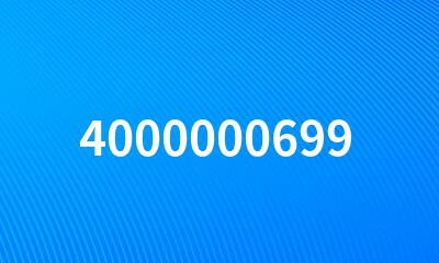 4000000699