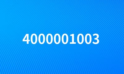 4000001003