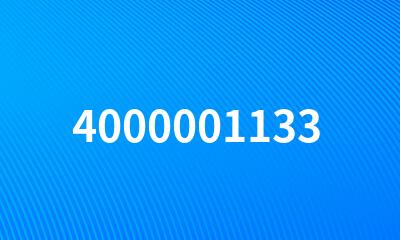 4000001133