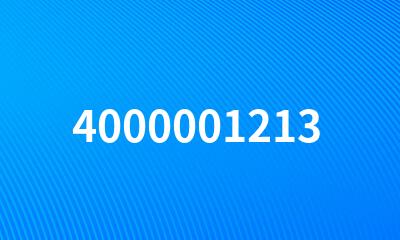 4000001213