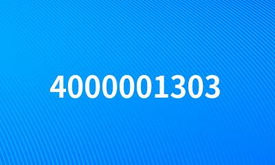 4000001303