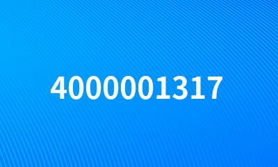 4000001317