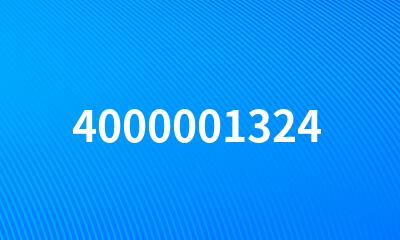 4000001324