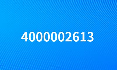 4000002613