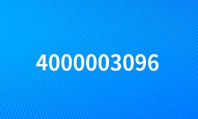 4000003096