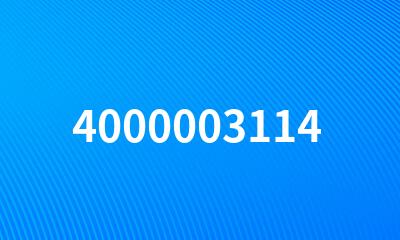 4000003114