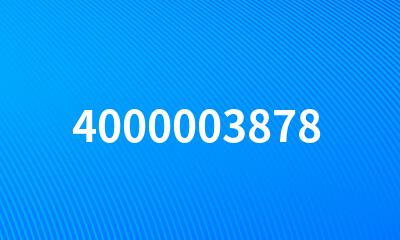 4000003878