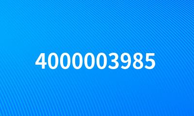 4000003985