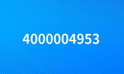 4000004953