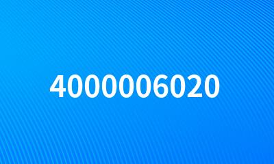 4000006020