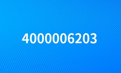 4000006203