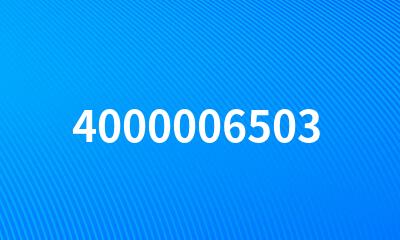 4000006503