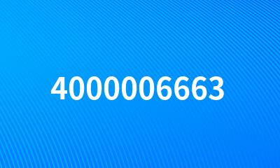 4000006663