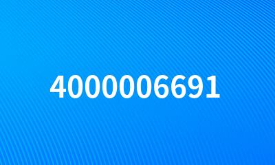 4000006691