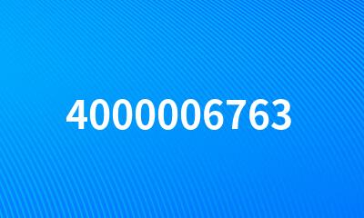 4000006763