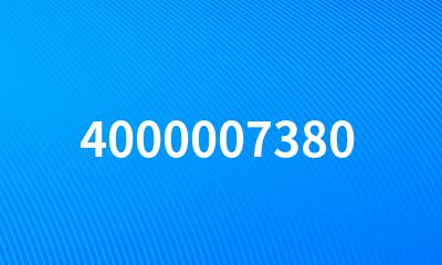 4000007380