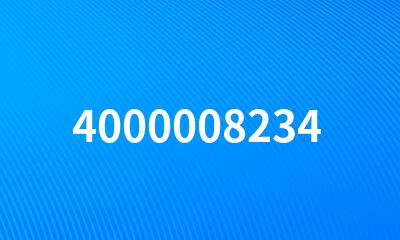 4000008234