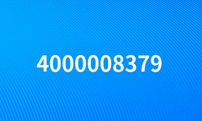 4000008379