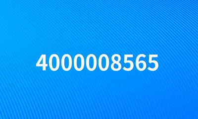 4000008565