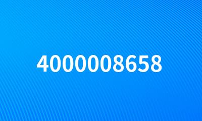 4000008658