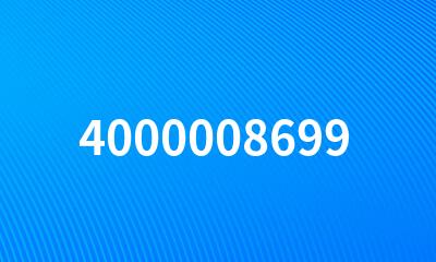 4000008699